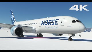 Norse Atlantic Boeing 787 Dreamliner Landing in Antarctica  Microsoft Flight Simulator MSFS 4K [upl. by Fatima]