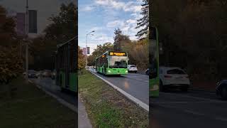 Autobuzul MercedesBenz Citaro Hybrid 7007 pe linia 301 AlexSpottingstb7007 [upl. by Kruter]