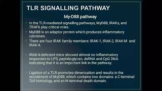 Toll like Receptor signalling pathways  MyD88 pathway [upl. by Middle]