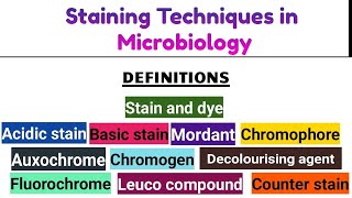 🎨Staining Techniques in Microbiology by Dr Pooja Kakde EnglishMarathi university [upl. by Phillie]