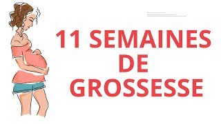 11 SEMAINES DE GROSSESSE [upl. by Unam]