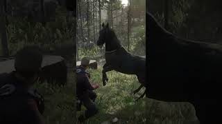 Dont Miss Out on This Legendary Horse in RDR 2 [upl. by Crocker]