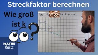 Steckfaktor berechnen  zentrische Streckung [upl. by Annaoj611]