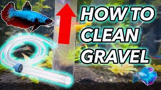 How to use an Aquarium Gravel vacuum [upl. by Raviv]