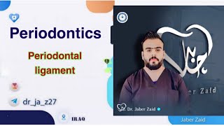 Periodontics   periodontal ligament [upl. by Amisoc286]