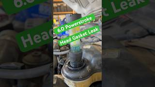 Typical Ford 60 Powerstroke Head Gasket Issues [upl. by Valdas754]