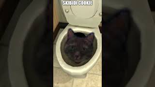 Skibidi CookieðŸ¤ª skibidibopbopyesyes funny [upl. by Eedna]