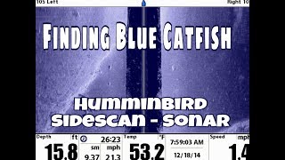 Finding Blue Catfish on Sonar with Catfish Guide Michael Littlejohn Lake Tawakoni [upl. by Loraine]