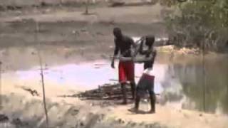 Amadou et Mariam amp Manu Chao Senegal Fast Food mp4 [upl. by Enairda709]