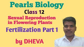 Reproduction in flowering plants  Fertilisation [upl. by Lebasiairam]