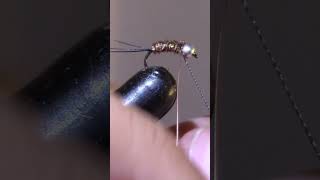 Pheasant Tail Fluo Collar  Fly Tying  shorts [upl. by Juni]