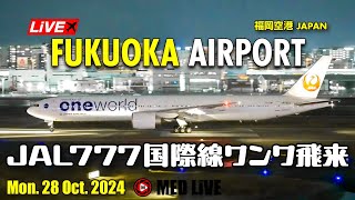 福岡空港✈️ライブカメラ JAL 国際線機材 B77W oneworld飛来！B777トリプル祭り！Mon 28 Oct 2024 Fukuoka Airport Live FUKRJFF [upl. by Adnohs28]