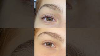 Lash lift tutorial beauty popular lashes [upl. by Paradies]