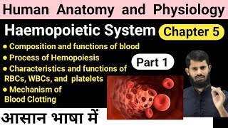 Haemopoietic system  HAP chapter 5  Process of Hemopoiesis  Mechanism of Blood Clotting [upl. by Zilevi]