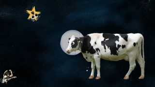 Im a Cow In Space [upl. by Ebeneser]