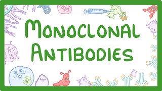 GCSE Biology  Monoclonal Antibodies 40 [upl. by Oniskey]