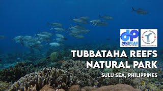 TUBBATAHA REEFS NATURAL PARK PHILIPPINES  GoPro underwater video FULL HD  Scuba diving travel [upl. by Jesselyn]