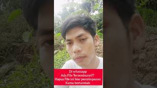 file tersembunyi di whatsapp reels mengujipengetahuan [upl. by Bannon]