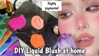 How to make LIQUID BLUSH at home 3 Methods [upl. by Teemus262]