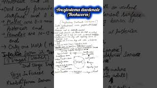 🔥Ancylostoma duodenale👉Hookworm📚Parasitology📚science ignou msczoology biology ignouuniversity [upl. by Nelg]