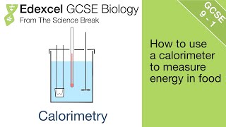 7 Edexcel GCSE Biology  Calorimetry [upl. by Lennie]