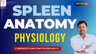 Spleen Malayalam Spleen Anatomy Physiology Malayalam lymphatic system Malayalam [upl. by Neeliak]