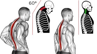 9 Morning Stretches to Correct Posture  Improve Your Posture in 14 Days [upl. by Ayotnahs]