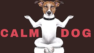 Sound To Calm Dogs Within 5 Minutes  Dog Hypnosis [upl. by Adnwahsar]