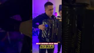 KRISTAL HARMONIKA  KRISTAL SVIRKA  ACA BRAJIC uzivo live muzika music wedding svadba brajic [upl. by Obaza]