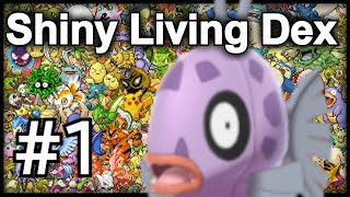 Catching the Shabbiest Pokémon  The Shiny Living Dex Challenge 1 [upl. by Ran]