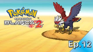 ¿Capturamos al BRAVIARY del desierto POKEMON BLANCO 2 Cutrigameplay sin comentarios [upl. by Arabrab81]