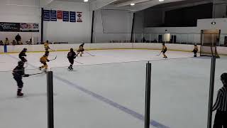 Live streaming of Mankato Peewee A 2024 [upl. by Aenet963]