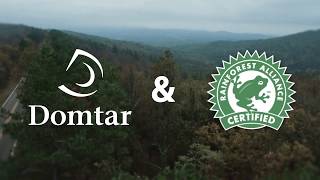 Domtar amp Rainforest Alliance 20 Years and Counting  Follow The Frog [upl. by Dacy]