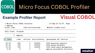 Micro Focus COBOL Profiler  Visual COBOL [upl. by Mook]