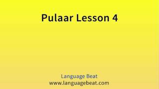 Learn Pulaar Mauritania  Lesson 4  Pulaar Mauritania Phrases for Beginners [upl. by Ynaffyt]