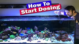 How to Start Dosing Your Reef tank [upl. by Nimzay]