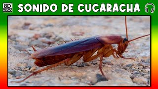 SONIDO DE CUCARACHA 🦠 [upl. by Enoob]