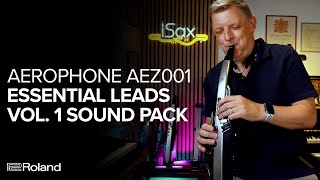 Roland Aerophone AEZ001 Essential Leads Vol 1 Sound Examples [upl. by Irb]