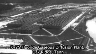 The Fluoride Deception Interview With Christopher Bryson [upl. by Lister445]