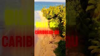 Billy Ocean  Caribbean Queen carribeanqueen billyocean lyrics lyricsvideo shortmusic short [upl. by Compton328]