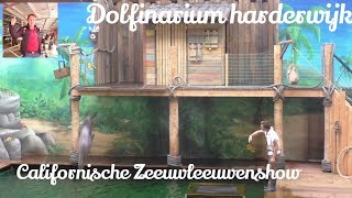 Carlifornische Zeeleeuwenshow in Dolfinarium Harderwijk [upl. by Anirrok]