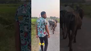 Bhai iPhone chal rahe hai samne 🤣😂😂viralvideo gaon [upl. by Latsryc]