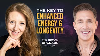 Good Energy Transformative Metabolic Health Tips with Dr Casey Means  1167  Dave Asprey [upl. by Ahseyn]