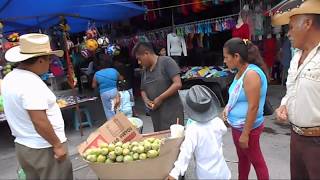 DOMINGO DE PLAZA HUEHUETLA HIDALGO [upl. by Grodin]