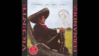 Vicente Fernández  Lástima Que Seas Ajena 1993 Instrumental [upl. by Leuqar]