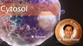 Cytosol  Dr Rakesh Yadav  cell cellbiology cytology introductiontobiology cytoplasm [upl. by Sperry]