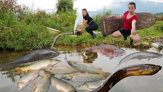 Top video Catching fish fish traps eel traps and using the best water pump to catch fish [upl. by Bael746]