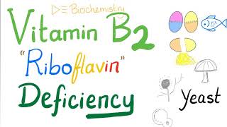 Vitamin B2 Riboflavin Deficiency [upl. by Jovi]