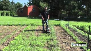 Removing weeds with a MC43 Mini Cultivator [upl. by Blasius]