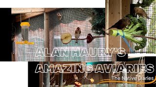 Alan Haurys Amazing Aviaries  The Native Diaries [upl. by Rambow]